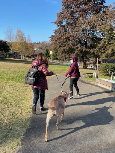 ハロウィンの日は、牧場へ行ってきました☆_1_7
