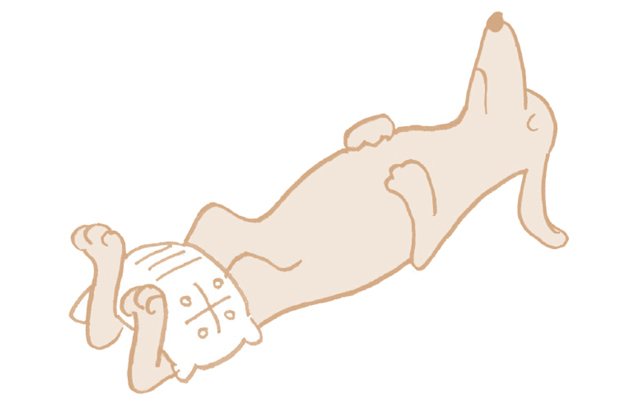 <自律神経を整える対症療法ワーク②>重さのあるものをすねにのせる