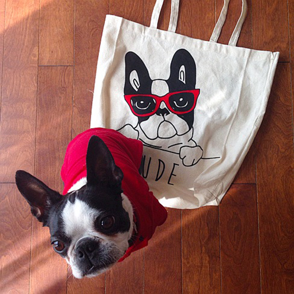 ボストンテリア すももちゃん bostonterrier sumomo