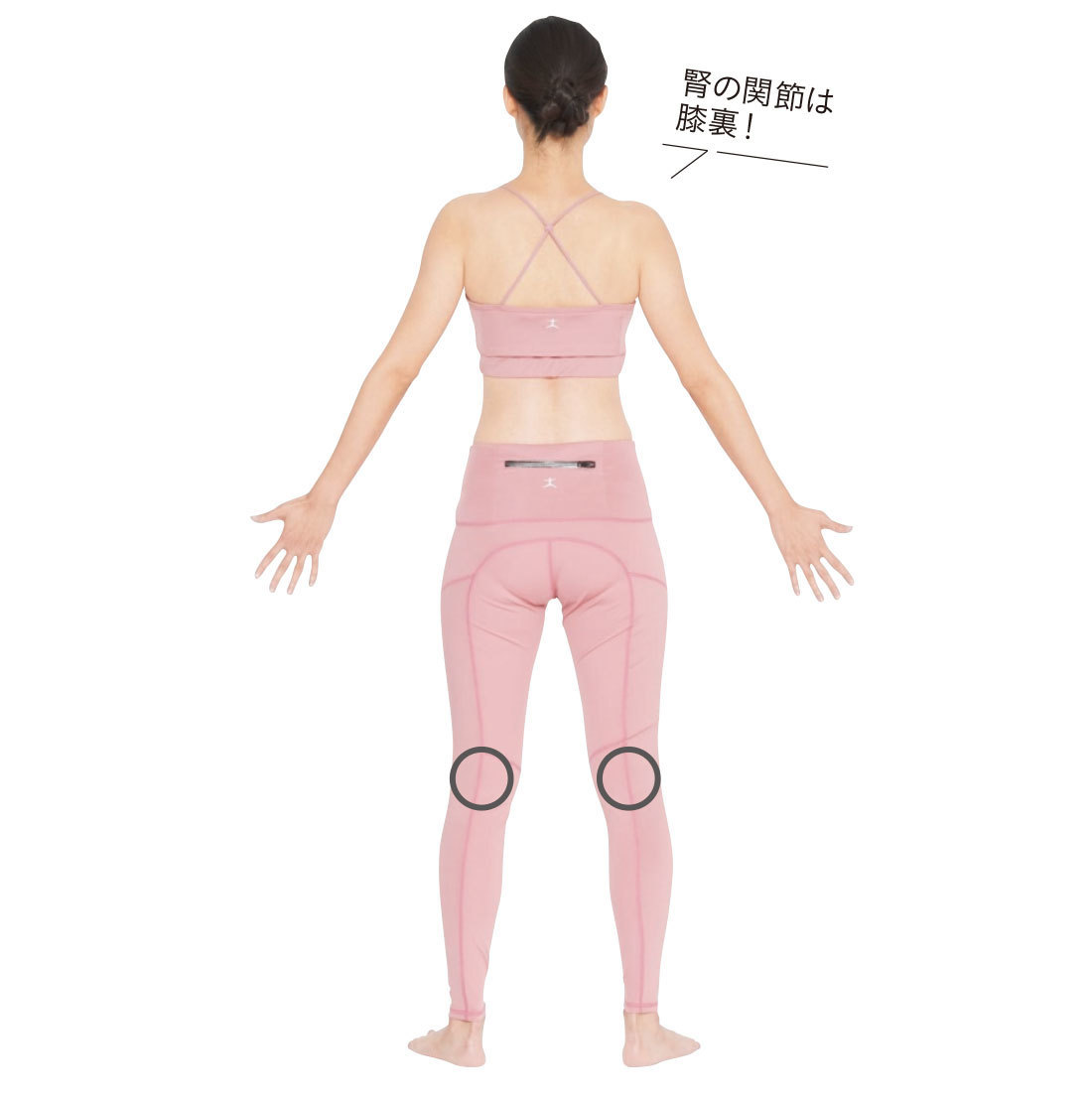 「腎」が弱っているあなたに_3