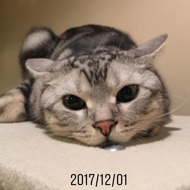 今年、去年、一昨年_1_2