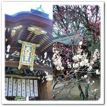 桜の前に出掛けてみませんか?京都で出会う梅の頃_1_2