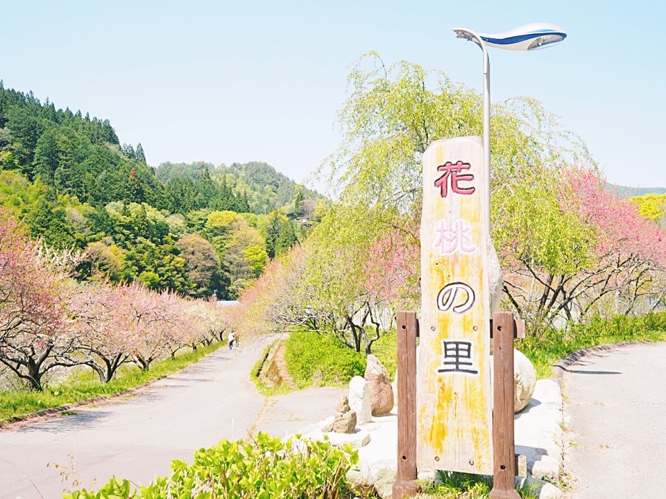 大自然に佇む山のベーカリーとハナモモの名所へ!_1_1