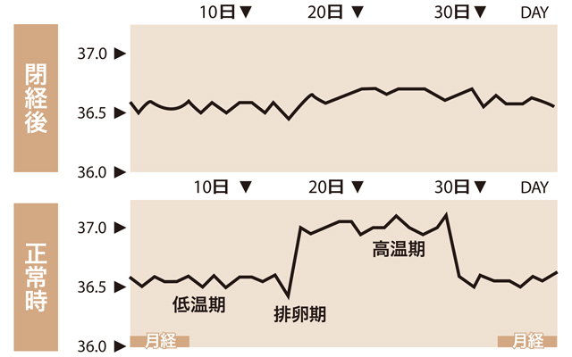 基礎体温