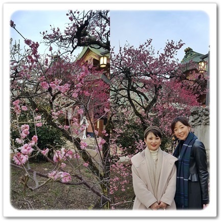 桜の前に出掛けてみませんか?京都で出会う梅の頃_1_5