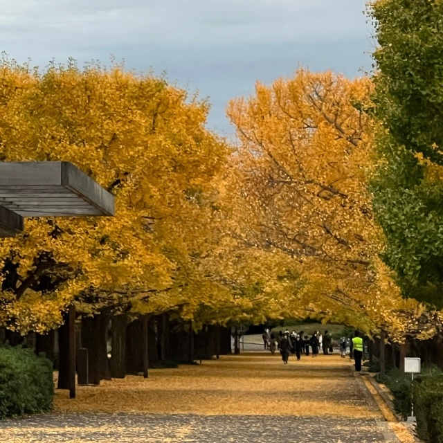 昭和記念公園