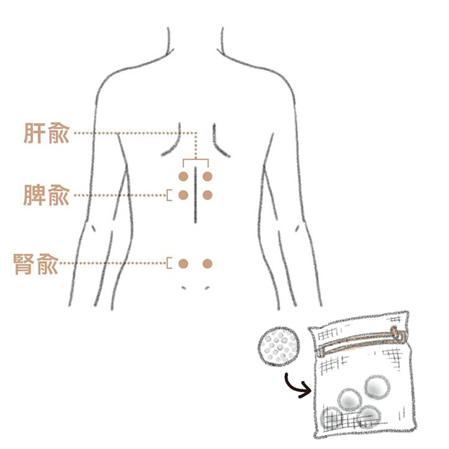 「ツボ押し」で3つの臓にさらなる活力を!