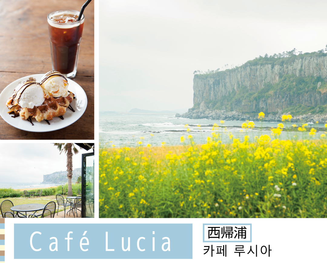 Cafe Lucia 西帰浦 카페 루시아