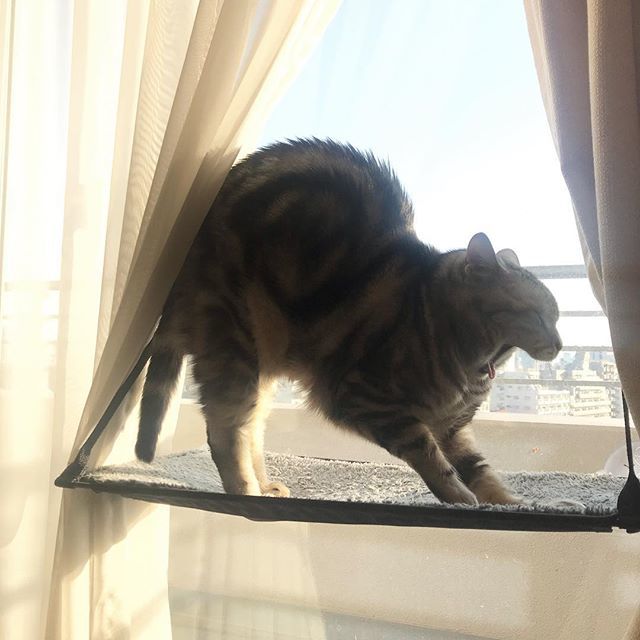 アランの健康法は?_1_3