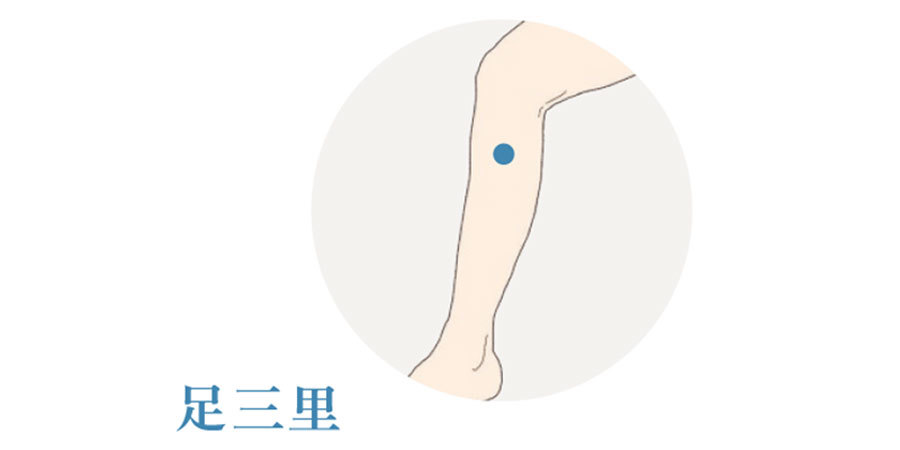 気虚体質_4