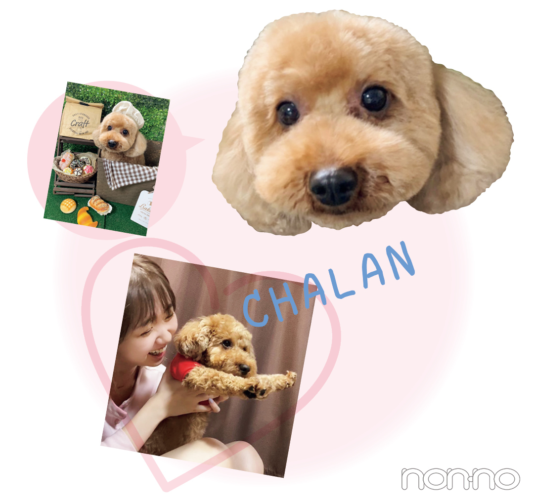 CHALAN