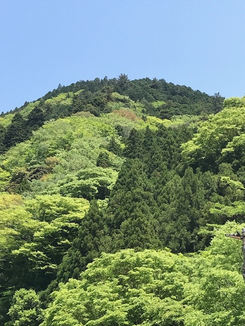 新緑の大山、茶湯寺参り。_1_1