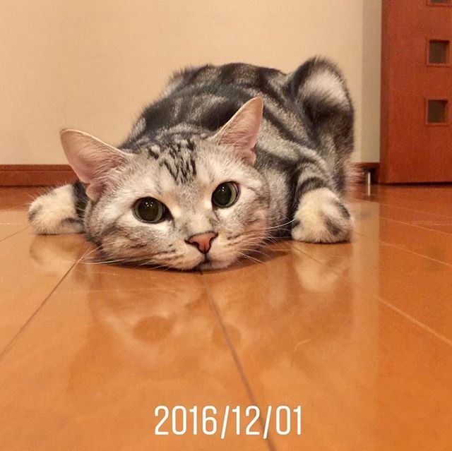 今年、去年、一昨年_1_3