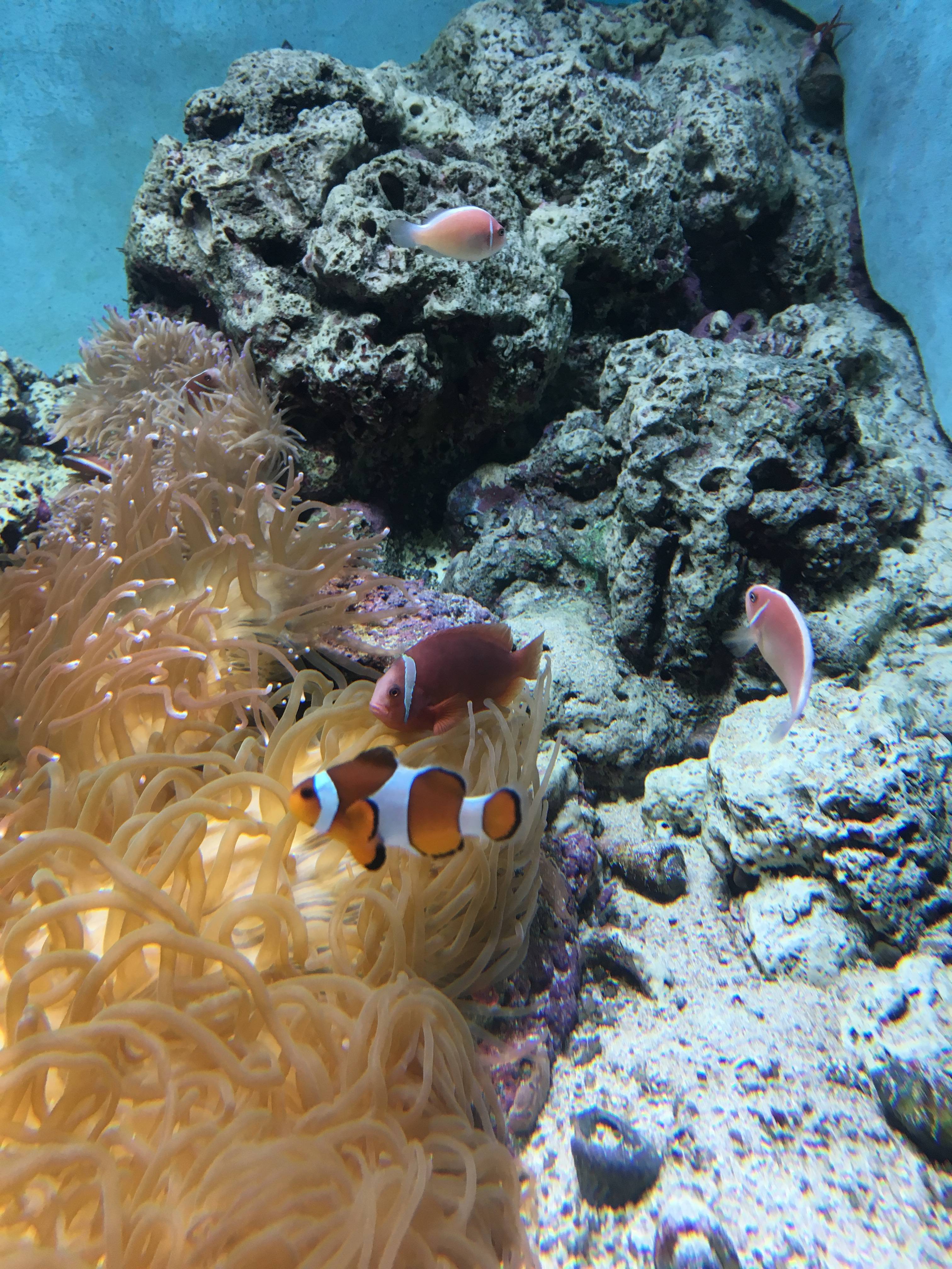 鹿児島への旅 その①_1_5