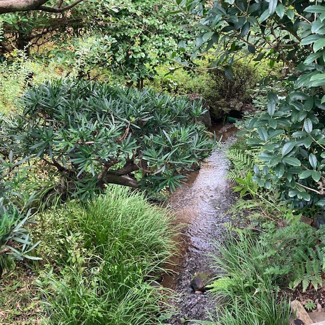 庭園内を流れる小川