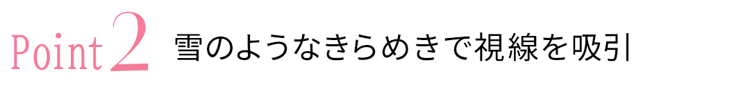point 2 雪のようなきらめきで視線を吸引