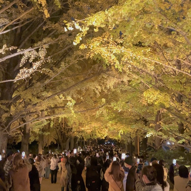 昭和記念公園