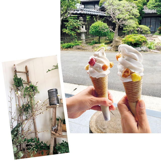 旅やグルメ、美容を 中心に、新たな発見を みんなと共有したい!