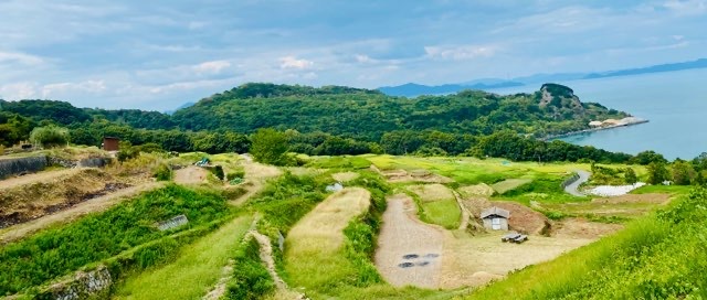 私の撮影スキルのなさよ・・・