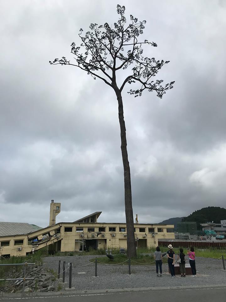 南三陸の想い出 チームjマダム 晴halのブログ チームjマダムブログ Web Eclat