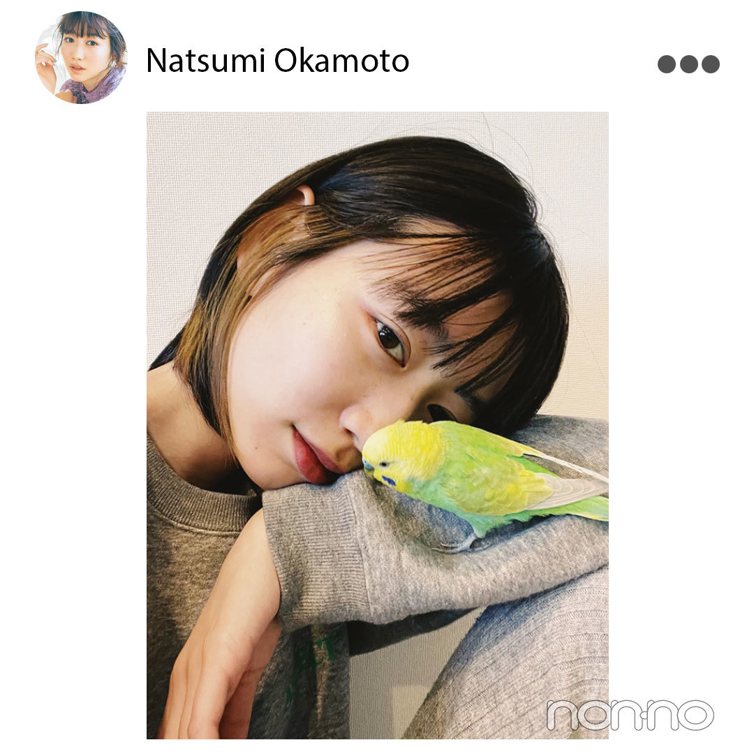 岡本夏美