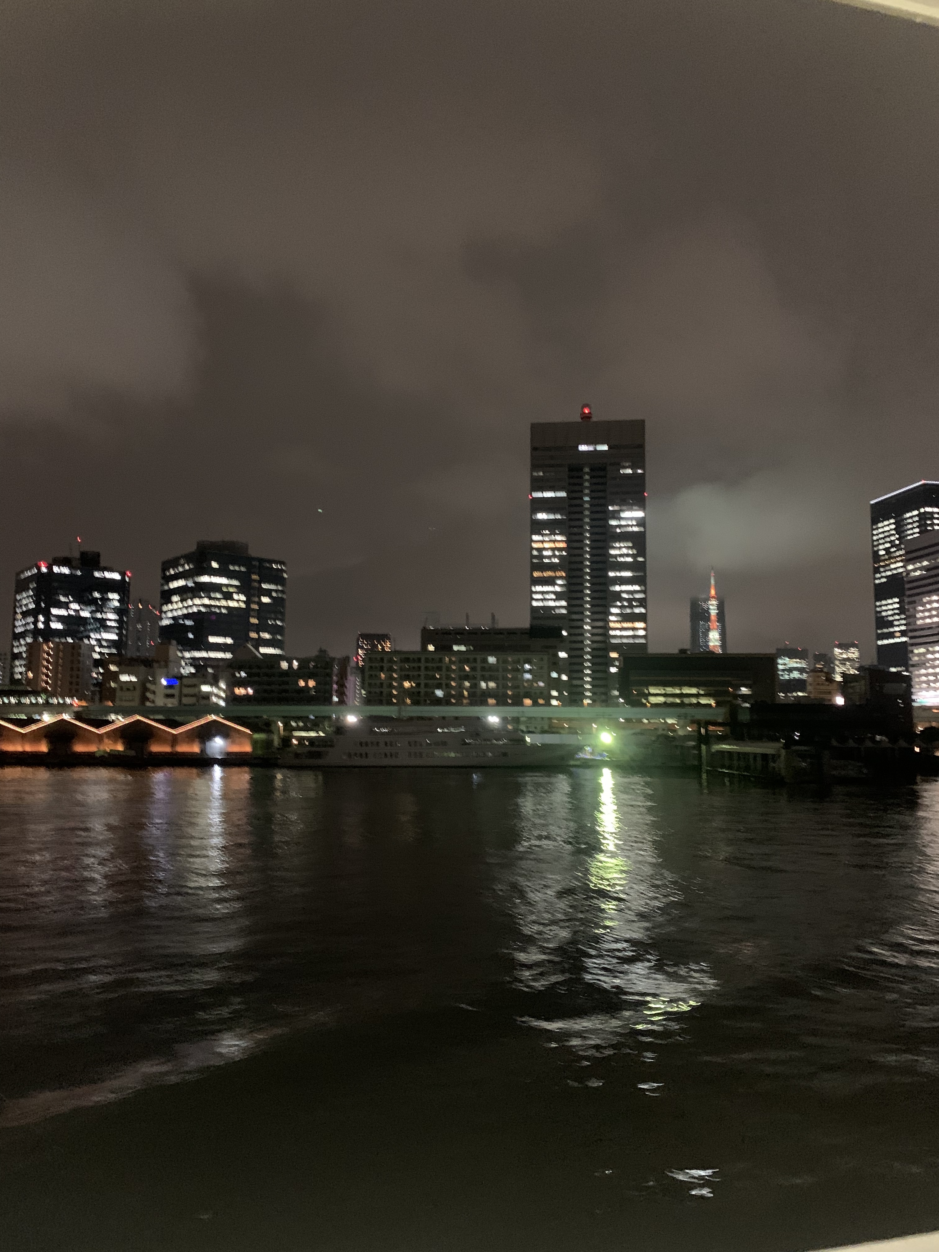 あかくポツリと見えるのは東京タワー