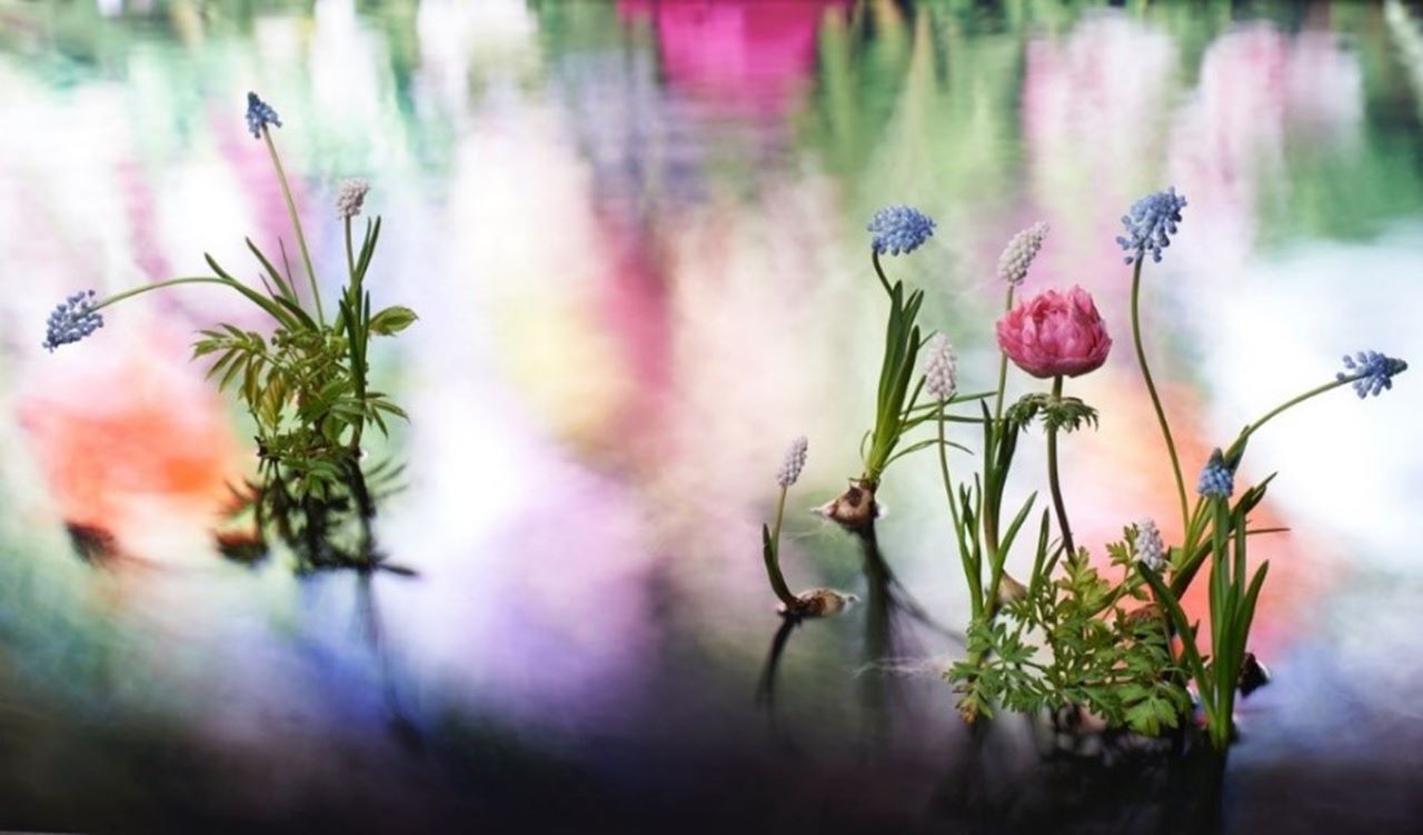 ヴァン クリーフ&アーペル「LIGHT OF FLOWERS ハナの光」メイン