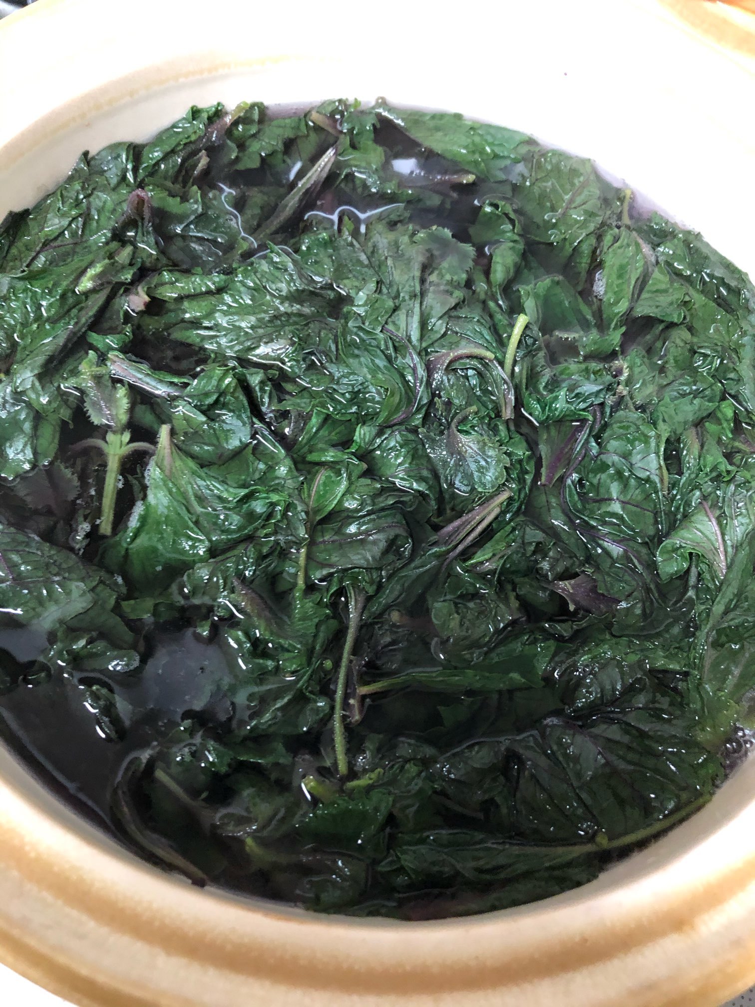 我が家の夏の風物詩_1_3