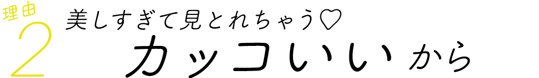 理由2 美しすぎて見とれちゃう♡ カッコいいから