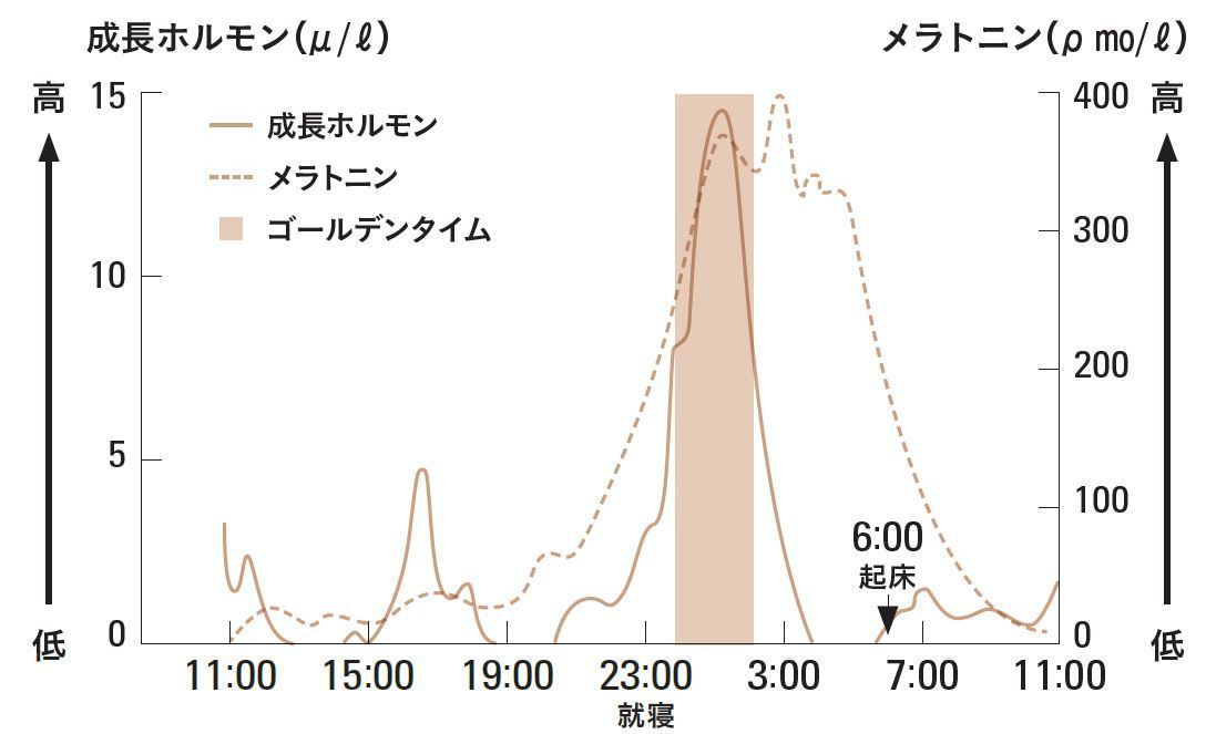 疲れを癒す成長ホルモンを逃さない生活リズムに!