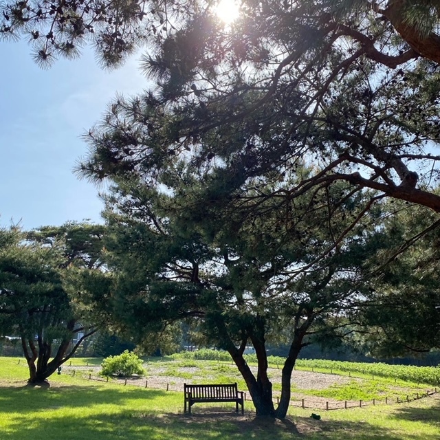 儚い自然の美しさを愛でる場所 私の日帰り旅行記 ファッション誌marisol マリソル 40代をもっとキレイに 女っぷり上々