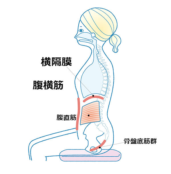 深い呼吸で骨盤のゆがみ予防を【キレイになる活】_1_3