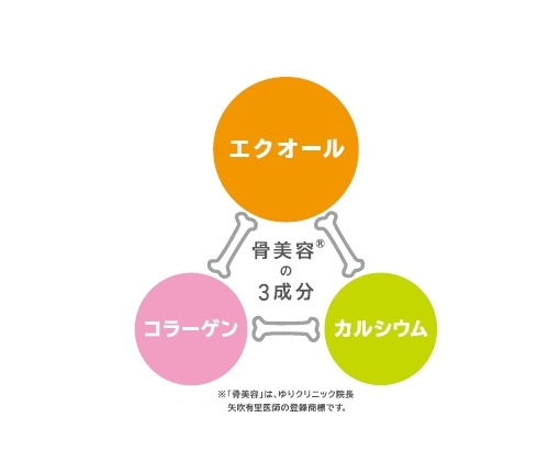 骨密度の3成分