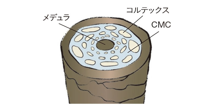 髪老化4_2