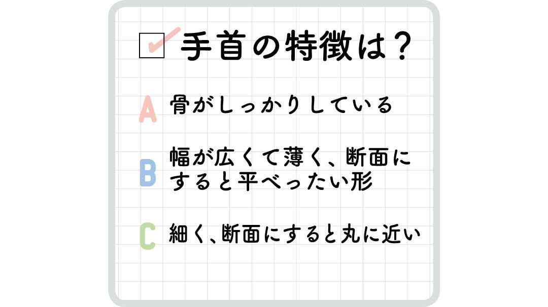 骨格タイプ別やせ方診断チャート1-5