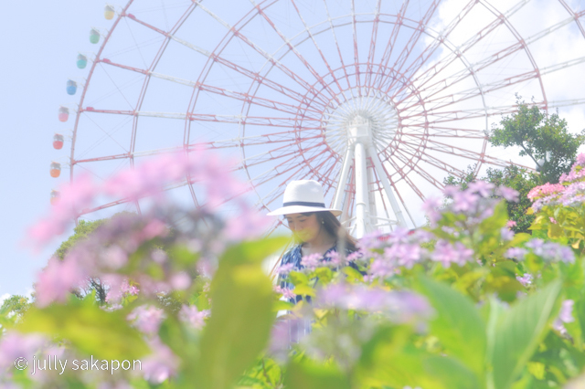 【さかぽんの冒険】初夏のお台場 あじさい散策_1_8
