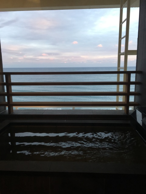 冬の水族館&温泉で大人のデート_1_1