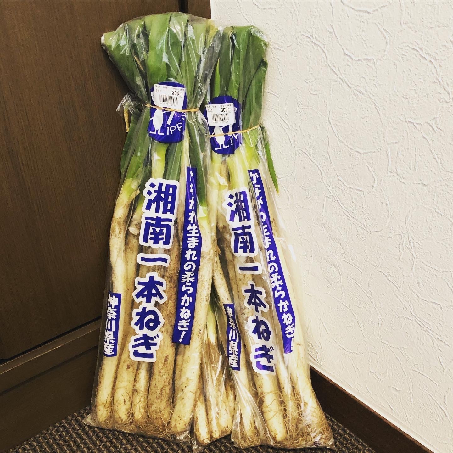 ハマりすぎに注意!おつまみにもご飯にも合う「簡単&絶品な長ネギの焼きびたし」_1_2