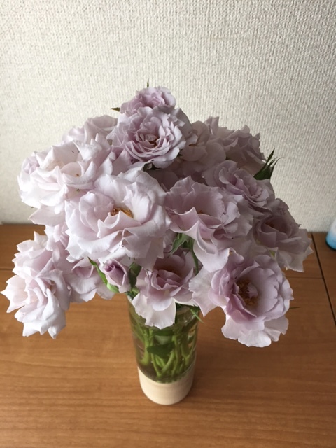 祝♥Marisol ONLINEリニューアル_1_2