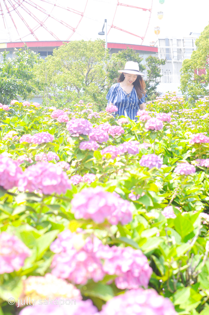 【さかぽんの冒険】初夏のお台場 あじさい散策_1_9