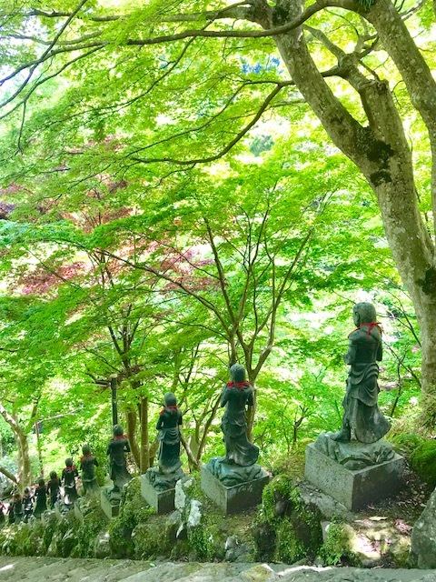 新緑の大山、茶湯寺参り。_1_5