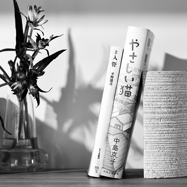 入管問題