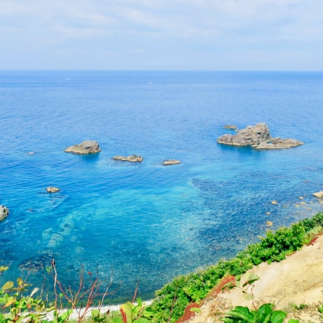 北海道の夏を満喫!今しか食べられない新鮮すぎるウニ丼_1_4