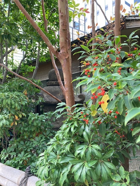 庭園