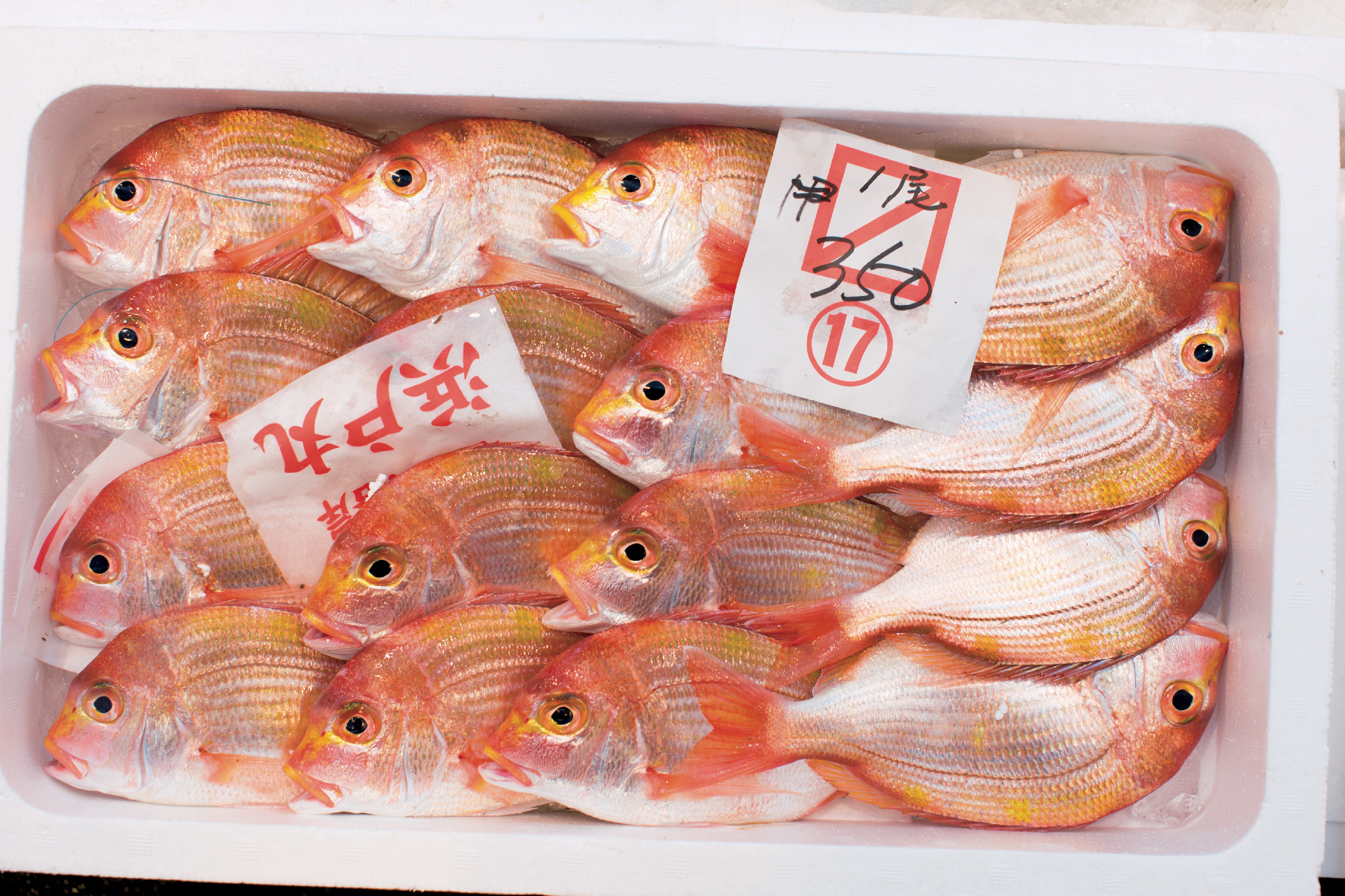 新鮮魚介に干物、乾物もそろう『若狭小浜お魚センター』_1_2