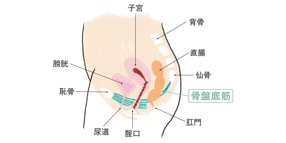 プチ不調改善ヨガ4_1