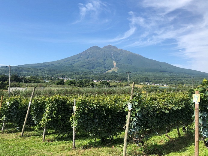“津軽&会津”のワインは東北らしさが素敵。しみじみ、優しい気持ちで味わいたい!【飲むんだったら、イケてるワイン/WEB特別篇】 _1_2
