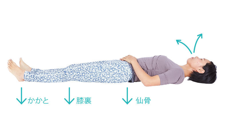 夜の腹式呼吸2