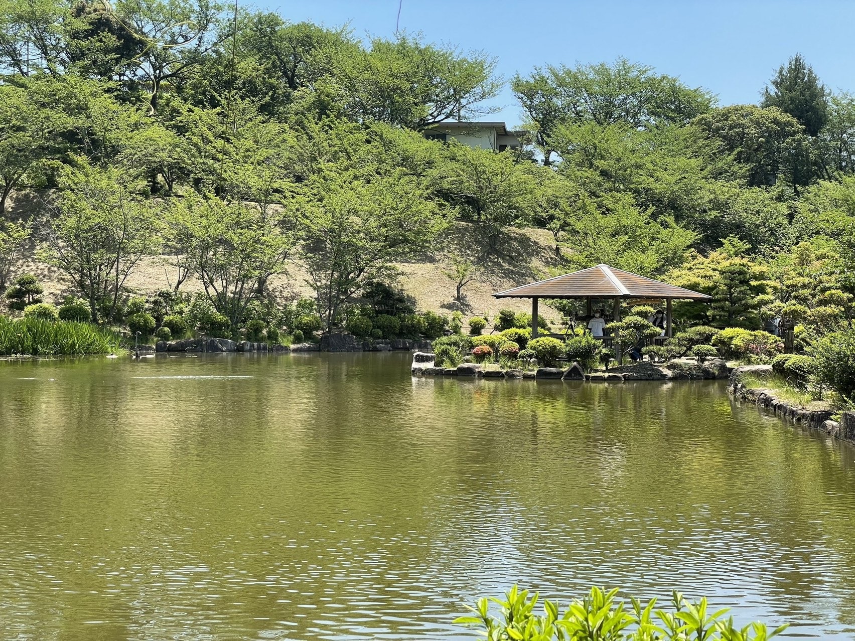 湖畔