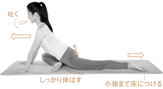 片足スフィンクス2